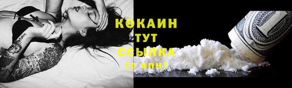 прущие крисы Балахна