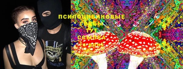 прущие крисы Балахна
