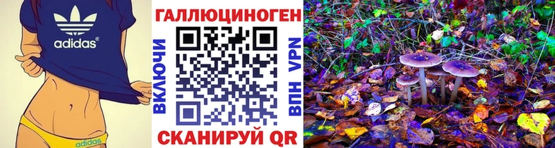 где купить наркоту  Вельск  Псилоцибиновые грибы прущие грибы 